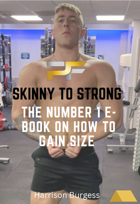 SKINNY TO STRONG: Fitness E-book